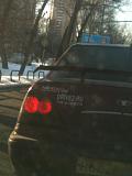 Встречи на дороге-img_0227.jpg