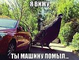 Посмеёмся...?-aistbhyu-au.jpg