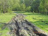 Кроссовер. Муки выбора.-dscn0601.jpg
