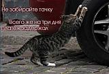 Посмеёмся...?-1365182460_avtomir-v-prikolah-17.jpg