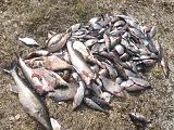 Рыбалка -p1040032.jpg