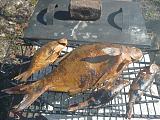 Рыбалка -p1040038.jpg
