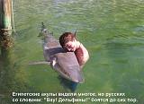 Смеха ради, прикола для...-getimage.jpg