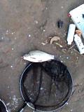 Рыбалка -img0003a.jpg