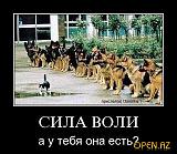 Поговорим?  -1304325223_x_c8bd61f4.jpg