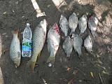 Рыбалка -dscn5080.jpg