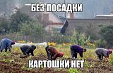 Флуд без флейма! - Часть 2-sm_gitx3hro.jpg