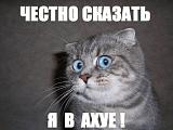 встретил хама на дороге-300808.jpg