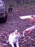 Встречи клуба-img_20131110_164735.jpg