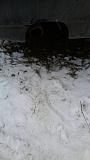 Попадает антифриз в масло-c360_2013-12-01-14-42-05-077.jpg