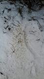Попадает антифриз в масло-c360_2013-12-01-14-42-14-204.jpg