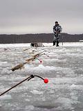 Все о рыбалке в Питере и не только-wfish_pict.jpg