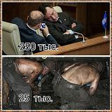Смеха ради, прикола для...-getimage-1-.jpg