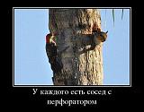 СМЕХ СКВОЗЬ СЛЕЗЫ....-ftrzi4vyrl8.jpg