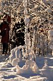 Красное Село-реконструкция-2014-01-19-20-40-34.jpg