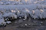 Красное Село-реконструкция-2014-01-19-21-18-06.jpg