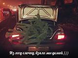 Мы и наши автомобили-pqktyv0kjco.jpg