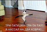 Смеха ради, прикола для...-getimage.jpg