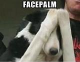 Встреча Питерцев-dogfacepalm.jpg