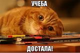 Болталка - Часть 4-2014-03-18_130916.jpg