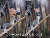 Болталка - Часть 4-getimage.jpg