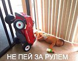 Смеха ради, прикола для...-getimage.jpg