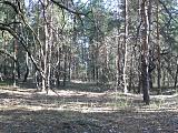 природа.море.отдых-foto0049.jpg