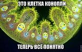 Смеха ради, прикола для...-getimage.jpg