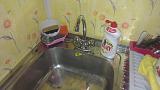 Дача, сад, огород своими руками!-imag0771.jpg