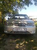 моя Нюська-foto0064.jpg