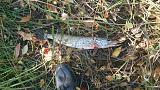 Рыбалка -img-20140927-wa0006.jpg