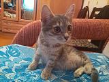 Хобби или живой уголок-img_20141130_142513.jpg