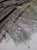 Треп - Часть 4-img_20150101_144249.jpg