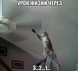 Посмеёмся...?-94aytwixadw.jpg