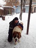 Болталка - Часть 4-img_20150208_154521.jpg