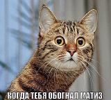 СМЕХ СКВОЗЬ СЛЕЗЫ....-getimage1.jpg