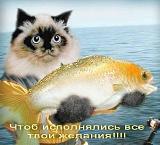 Дни рождения и поздравления!!!-1413826470-281072-221573.jpg