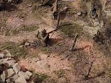 А моделизмом 1:35 кто-нибудь увлекается?-dscn3808.jpg