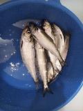 Рыбалка -img_20150527_211235.jpg