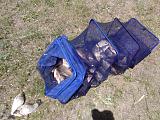 Рыбалка -img_20150523_114510.jpg