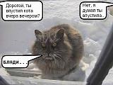 Смеха ради, прикола для...-kot.jpg