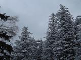 Треп - Часть 4-dscf2959.jpg