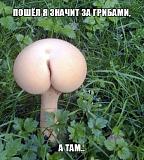 Поговорим-gribok.jpg