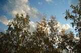 Санкт-Петербург - мой Санкт-Петербург.-dsc06009.jpg