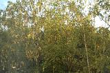 Санкт-Петербург - мой Санкт-Петербург.-dsc06010.jpg