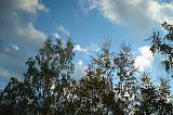 Санкт-Петербург - мой Санкт-Петербург.-dsc06006.jpg