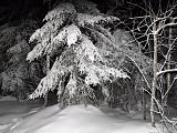 Треп - Часть 4-1_dscf4187.jpg