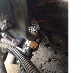 Течь масла из под прокладки клапанной крышки, масло в колодцах. Замена прокладки.-p1avcfzae88.jpg