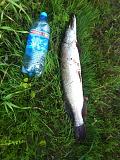 Спорт/туризм/здоровый образ жизни. -img-20160714-wa0074.jpg