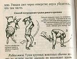 Смеяться! - Часть 2-13938417_565711263613775_3570100373666390365_n.jpg